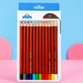 12-Piece Pastel Pencil Set