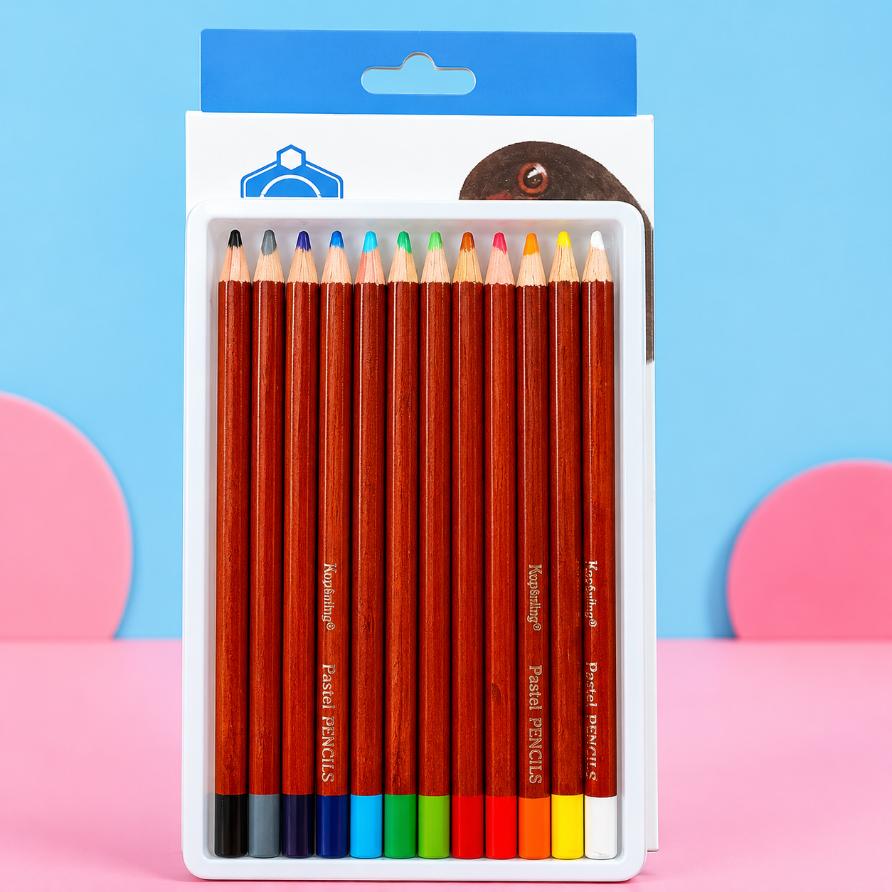 12-Piece Pastel Pencil Set