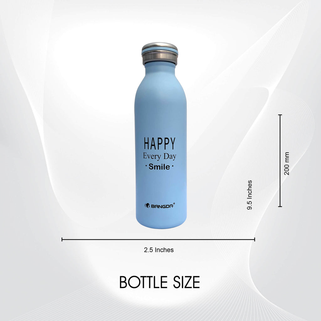 Insulated Stainless Steel Thermos Bottle - 600ml